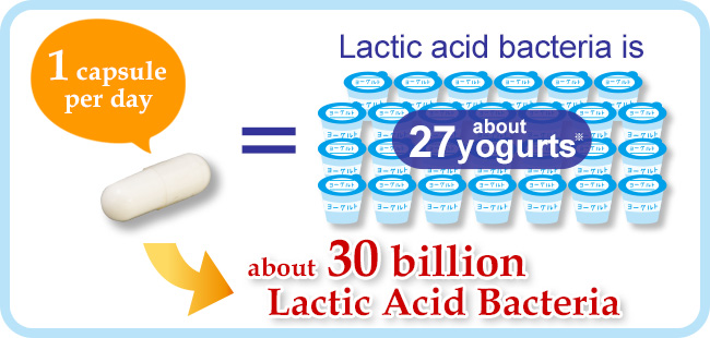 1 capsule contains lactic acid bacteria equivalent to 27 yogurts.