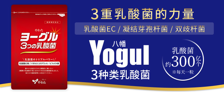 八幡 Yogul - 3种类乳酸菌