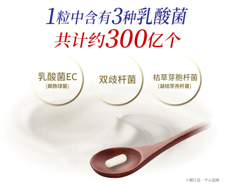 一粒中含有3种乳酸菌共计约300亿个！