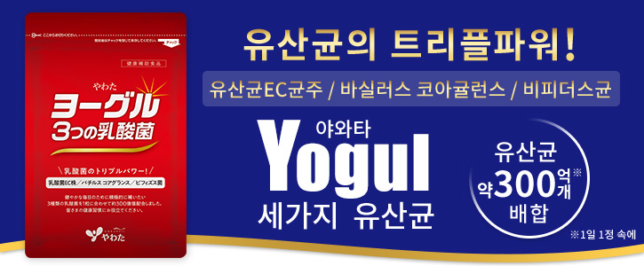 야와타 Yogul 세가지 유산균