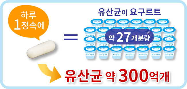 하루 1정속에 유산균이 요구르트 약 27개분량